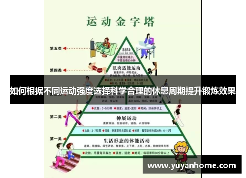 如何根据不同运动强度选择科学合理的休息周期提升锻炼效果